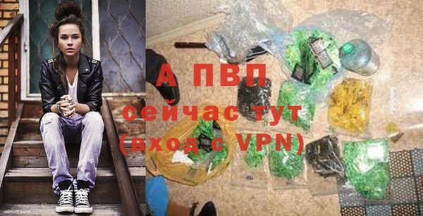 стаф Надым