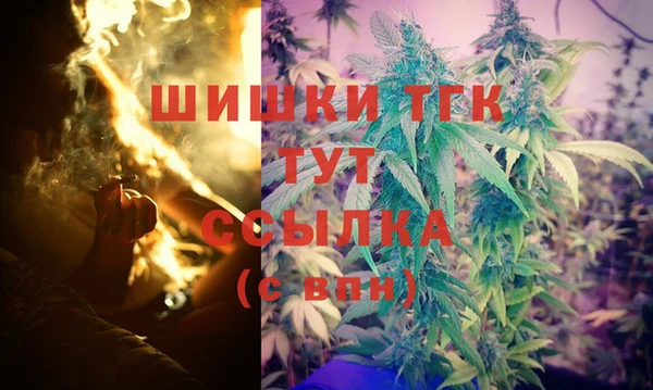 стаф Надым