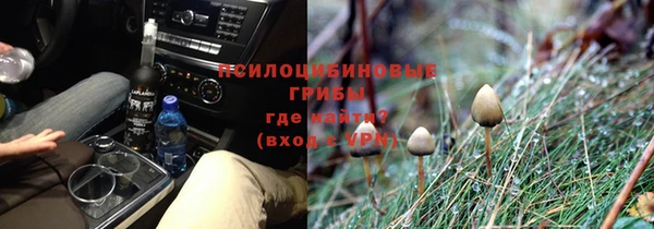 PSILOCYBIN Дубна