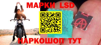 ECSTASY Беслан