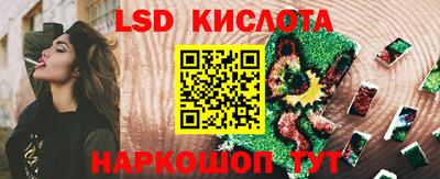 МДПВ Бийск