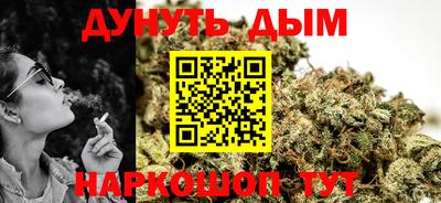 МДПВ Бийск