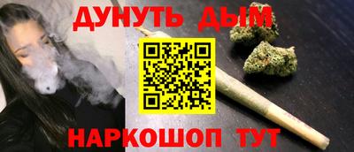 МДПВ Бийск