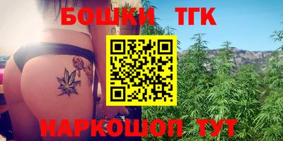 МДПВ Бийск