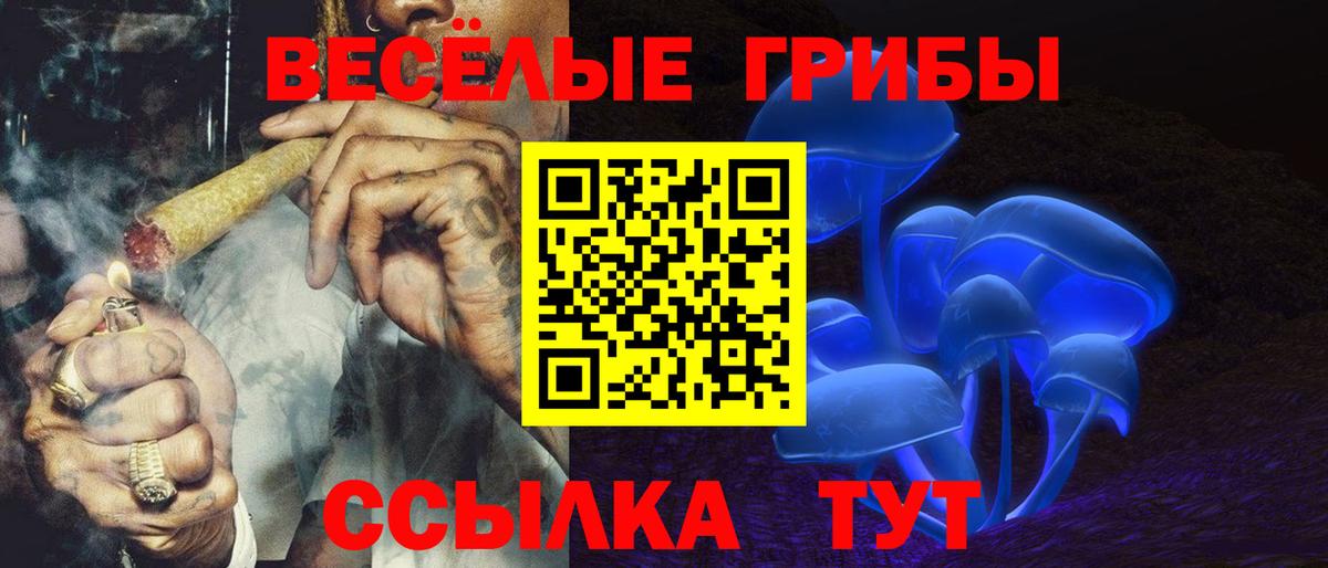 Галлюциногенные грибы Psilocybe Стрежевой