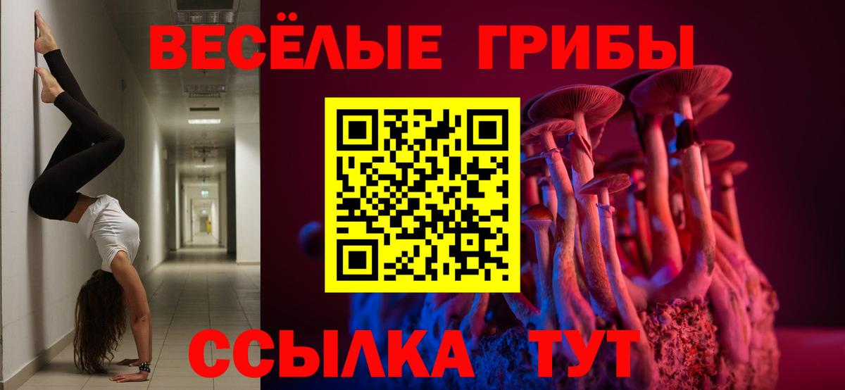 Стрежевой  Галлюциногенные грибы Psilocybe  Вход с VPN  Псилоцибиновые грибы ЛСД 